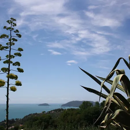 Agave Di Ferienhaus *