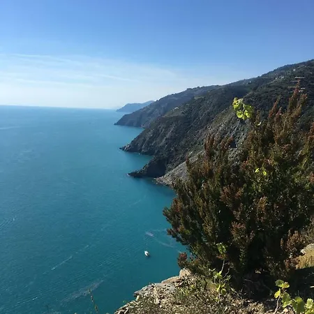 Agave Di Сasa de vacaciones