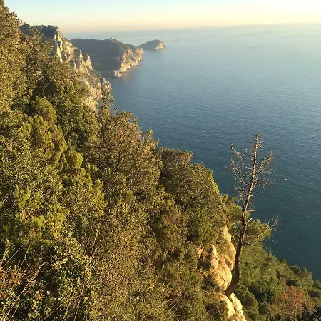Agave Di Lerici